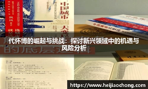 代怀博的崛起与挑战：探讨新兴领域中的机遇与风险分析