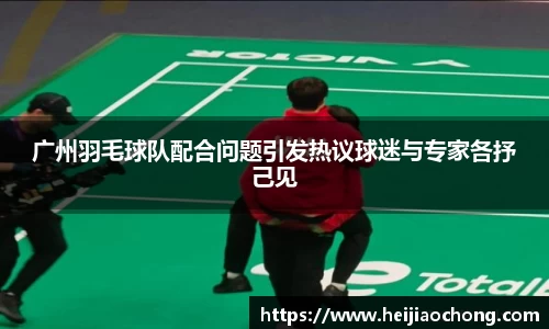 广州羽毛球队配合问题引发热议球迷与专家各抒己见